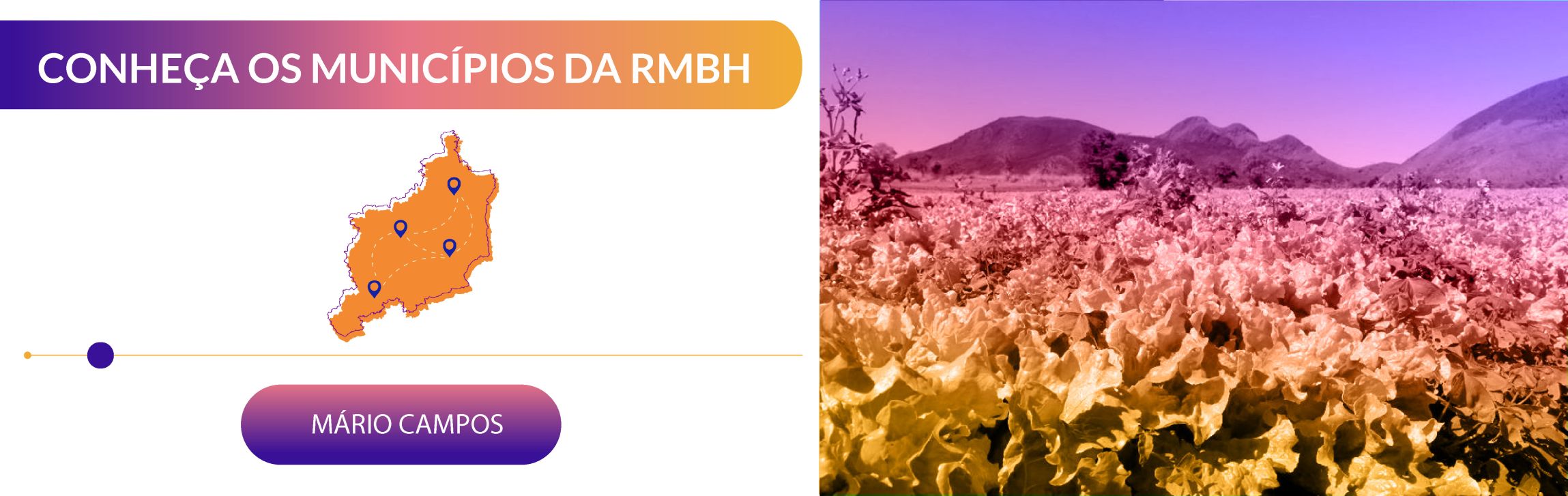 banner-municipio-mariocampos-01
